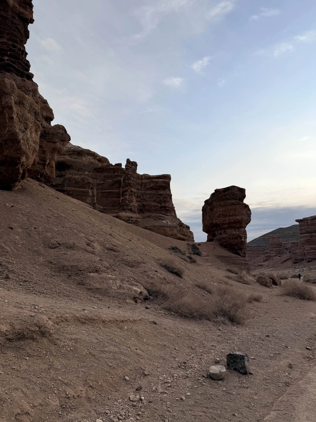 Замечательный гид и потрясающая экскурсия! Успеть посмотреть столько мест и запечатлеть все! Очень интересные истории и