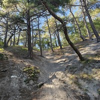 Фото путешественника — 7
