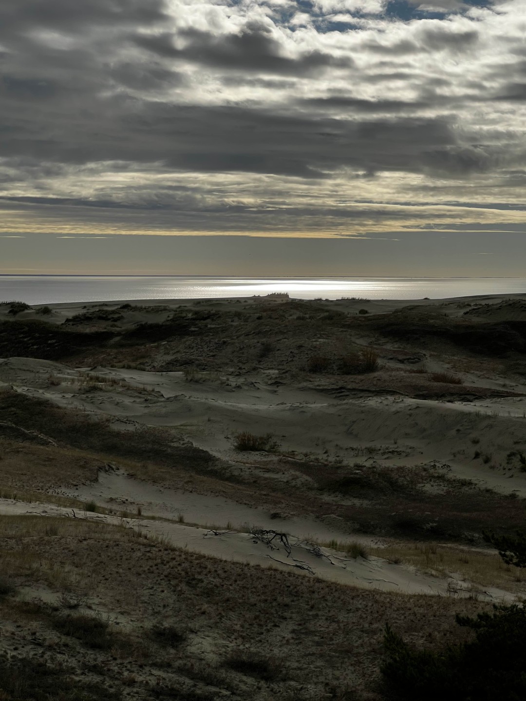 Комфортная поездка на Куршскую косу (Юлия)