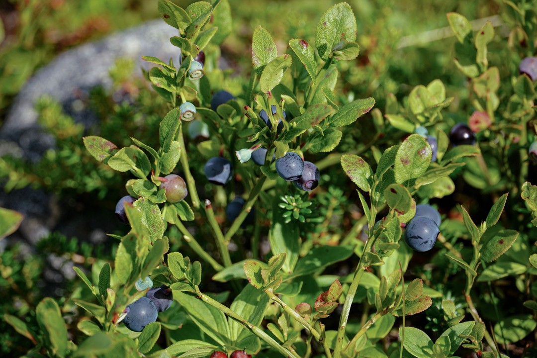Ездили с Евгением, все понравилось, спасибо
