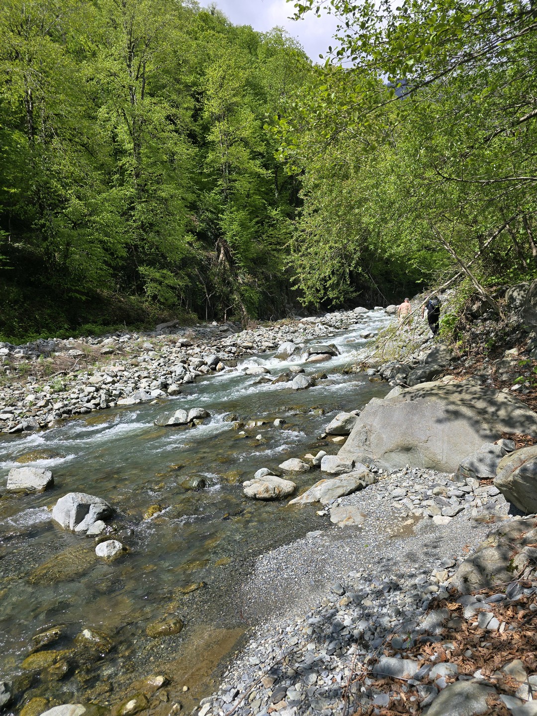 Экскурсия невероятная! Это именно то, что мы хотели! Дикая природа, не тронутая человеком. Наш гид Леван