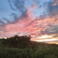 Фото отзыва 5: экскурсия "Остров Русский + мыс Тобизина"
