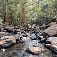 Фото отзыва 3: экскурсия "Весь Гоа за один день: групповая экскурсия"