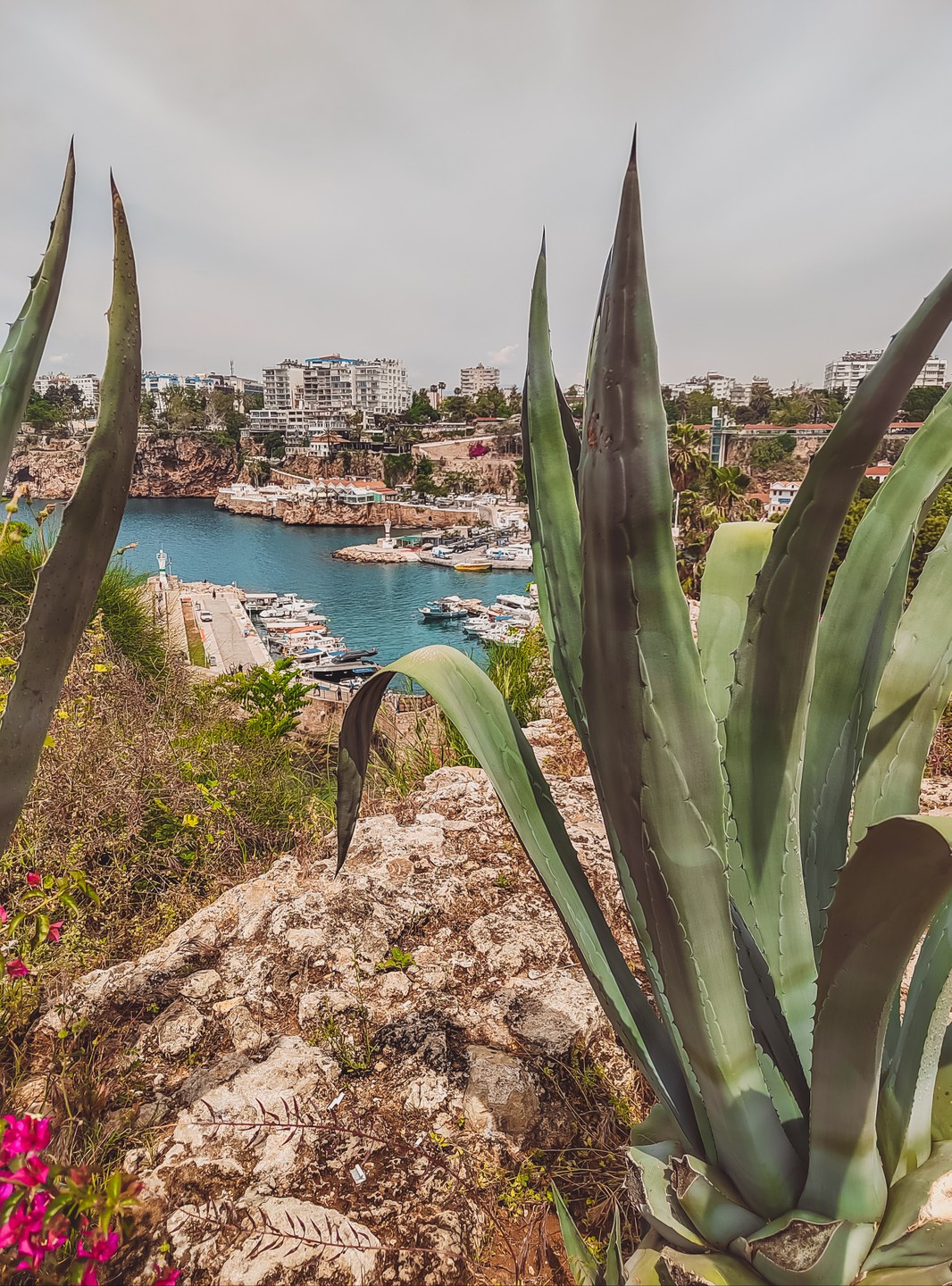 Спасибо большое Виктории за экскурсию! Замечательно провели время, все было так легко, размеренно, никуда не спешили,