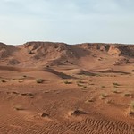 Лилия