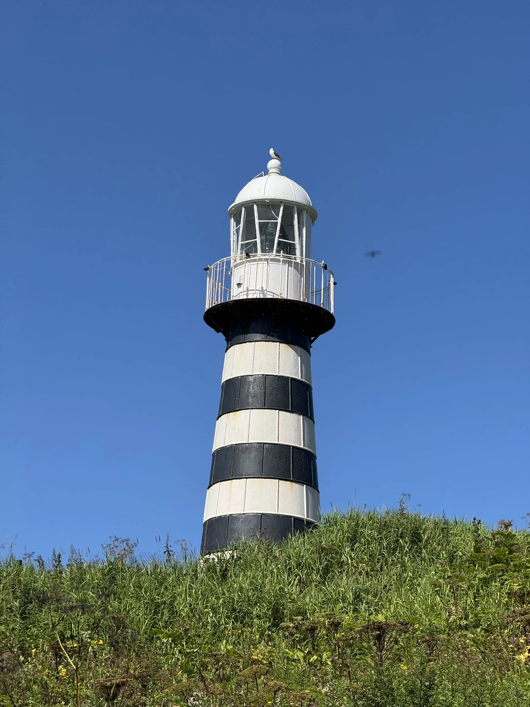 Отличный день! Павел настоящий профи! Еще и с погодой повезло. Рекомендую от души, а мы еще вернемся!