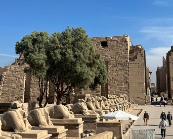 Перелёт в Луксор, Карнакский и Луксорский храмы и начало круиза