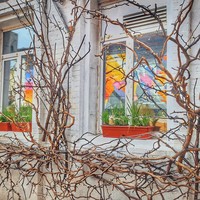 Фото отзыва 3: экскурсия "Красный Октябрь: фотоэкскурсия в стиле лофт"