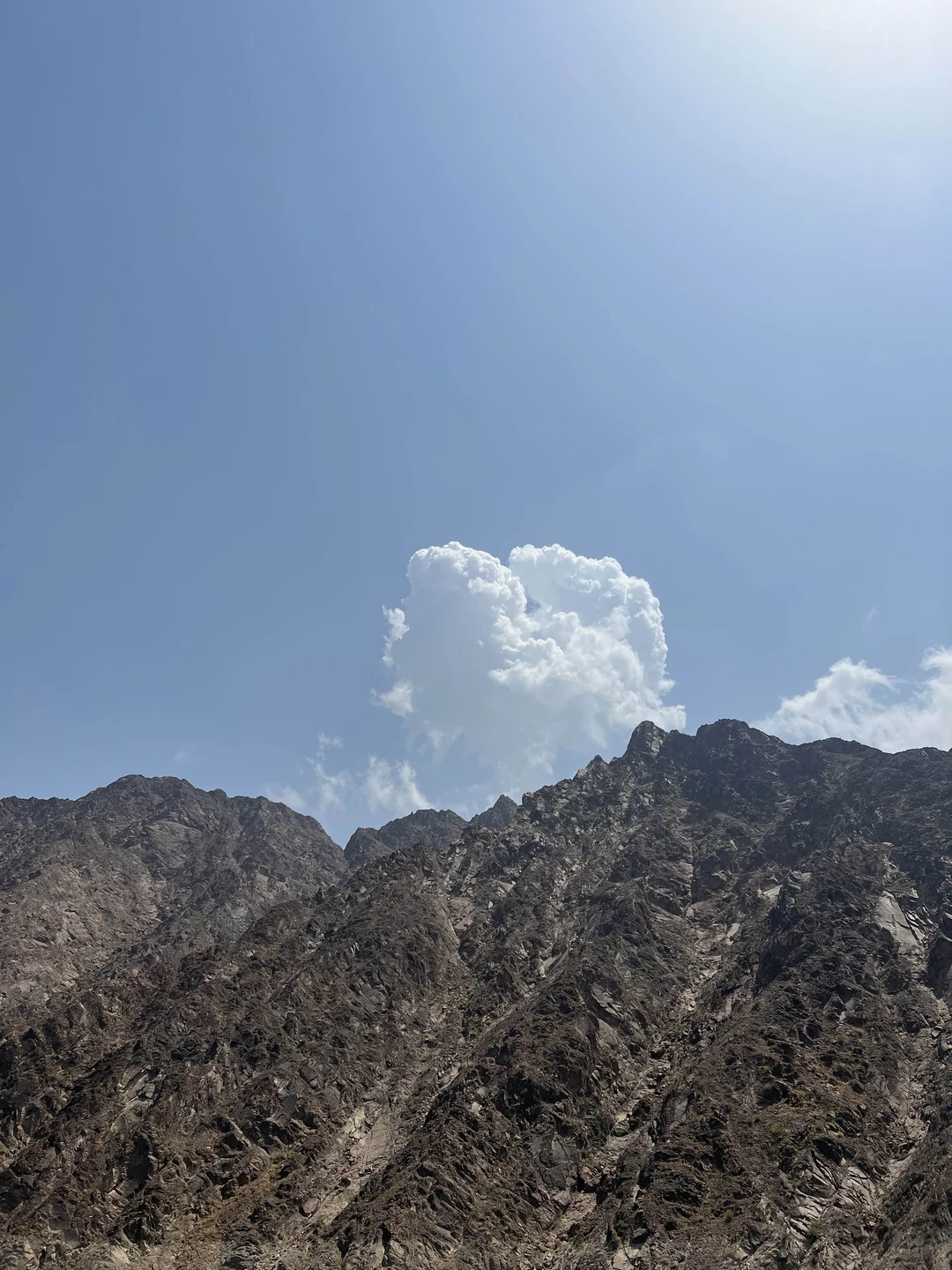 Экскурсия классная, насыщенная, локации меняются, много инетересных фактов про Эмираты. Баха прекрасно рассказывал, я бы порекомендовала