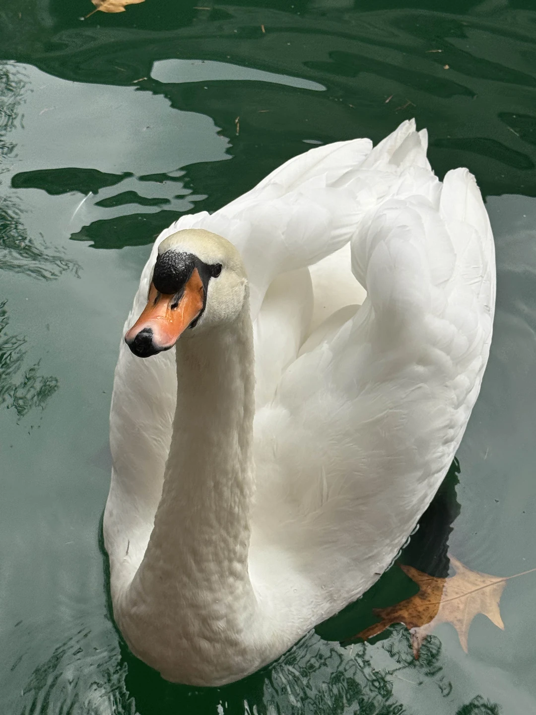 Были на экскурсии в декабре 25 года. Очень хорошая экскурсия!!! Сефа прекрасный экскурсовод! Прекрасно говорит по