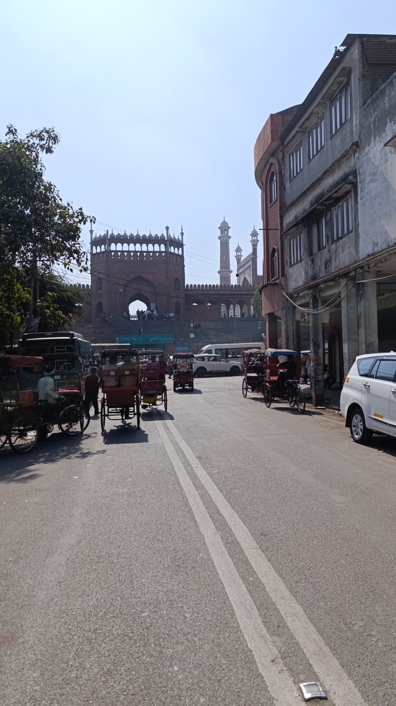 Дели: must-see-места и город за кулисами (Татьяна)