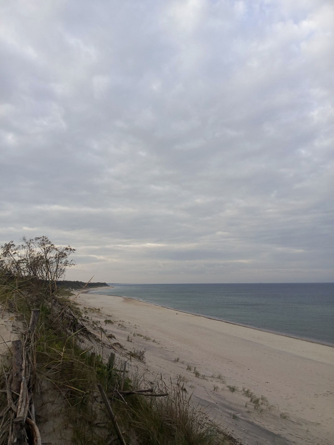 Комфортная поездка на Куршскую косу (Елизавета)