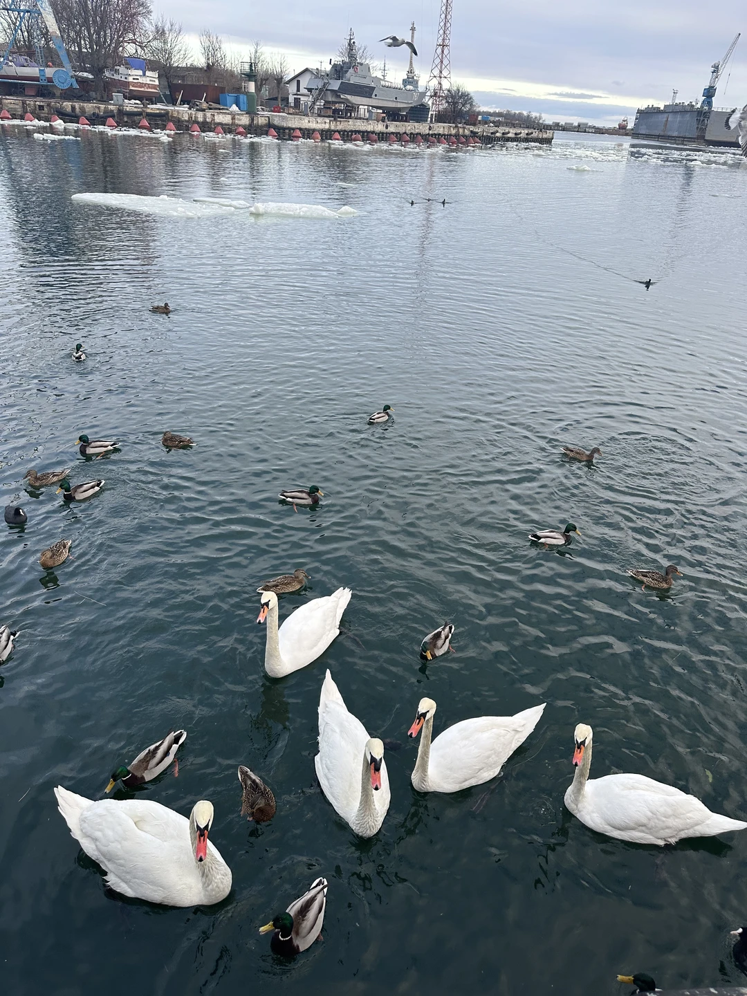 Экскурсия состоялась в пасмурный день, под ногами было скользко и мокро, но Наталья Евгеньевна освещала собой