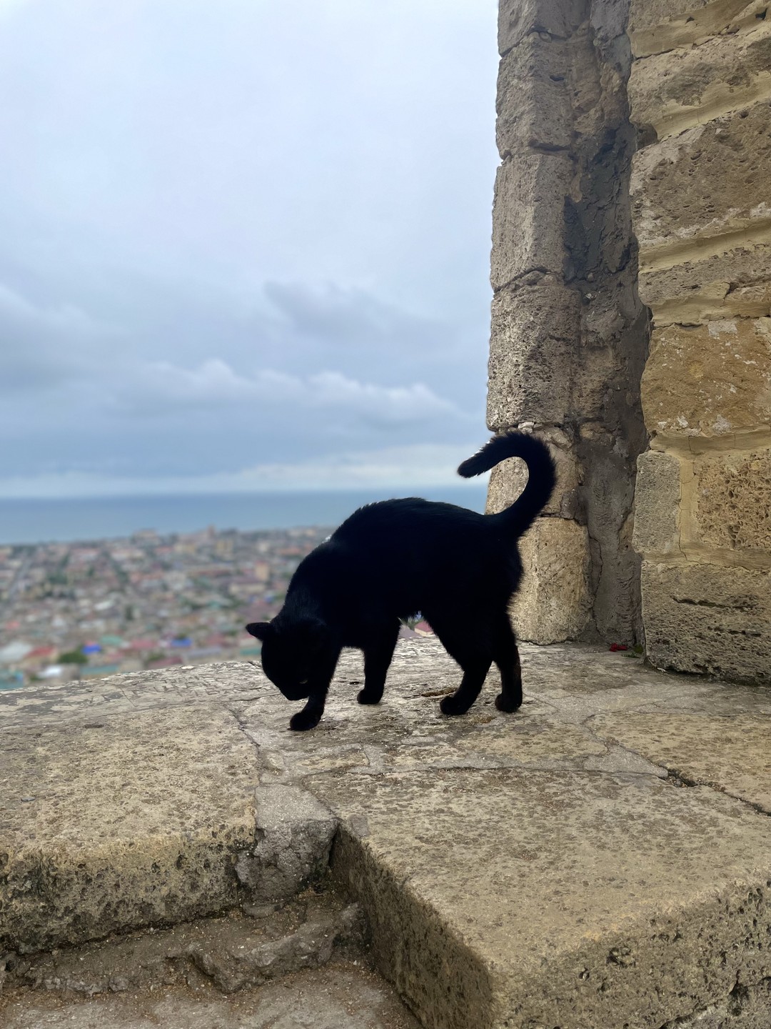 Огромное спасибо Тимуру и нашему гиду Юсуфу за организацию и сопровождение по этому маршруту! У нас