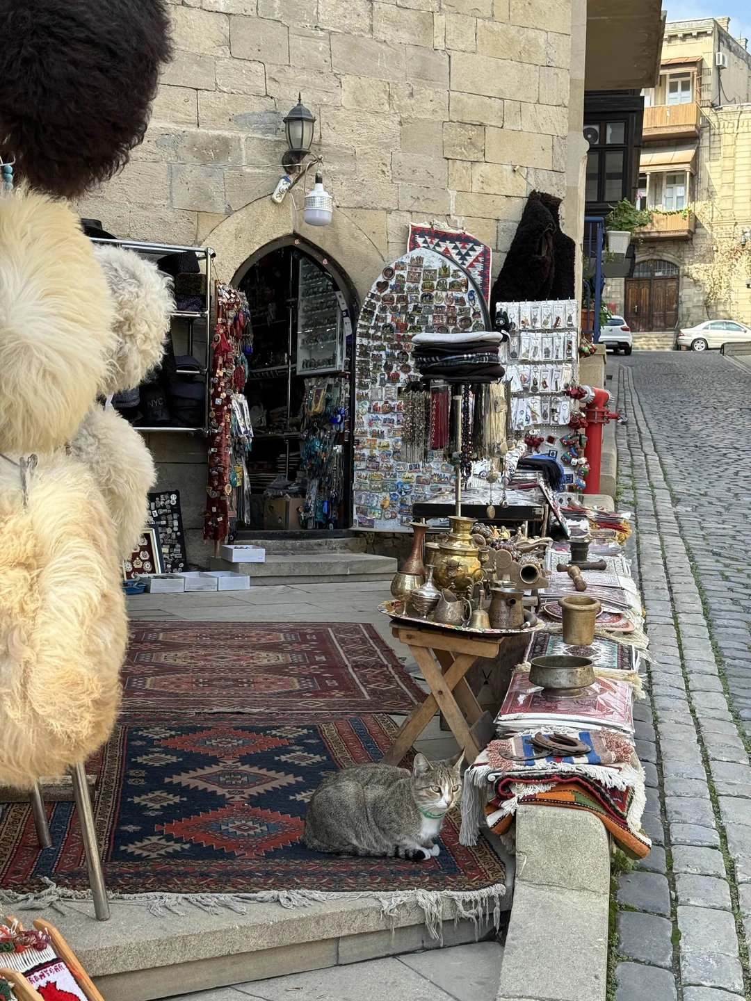 Отличный выбор для знакомства с городом!