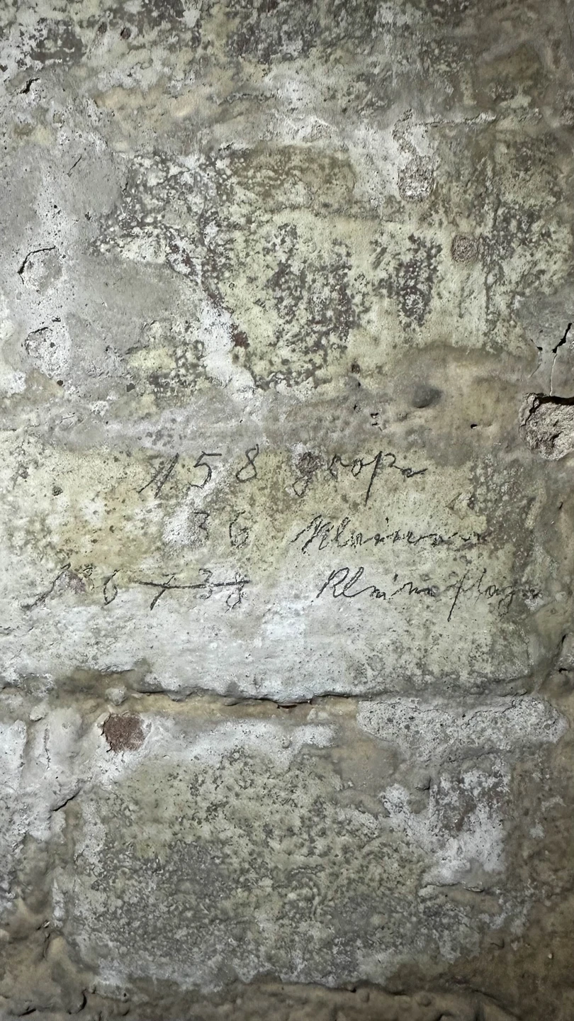 Потрясающая экскурсия, великолепный экскурсовод, который знает, а самое главное любит своё дело!!!