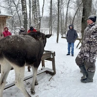 Фото отзыва 2: экскурсия "На Сумароковскую лосеферму из Костромы"
