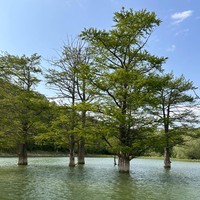 Фото отзыва 6: экскурсия "Большой Утриш и Кипарисовое озеро за 1 день!"