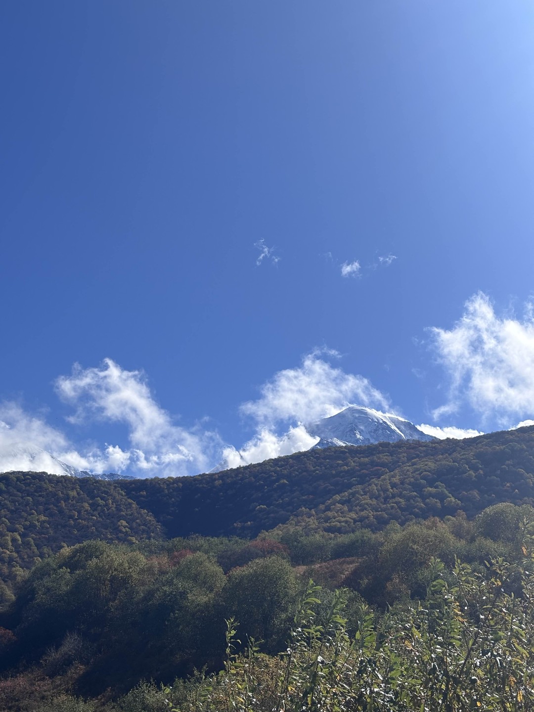 Поездка в группе «Осетия - любовь с первого взгляда!» (Алина)