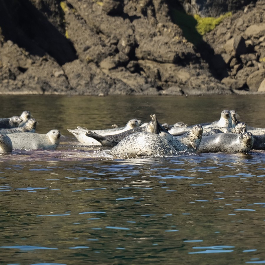 Остров Монерон: жемчужина Дальнего Востока