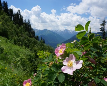 Баритовый водопад