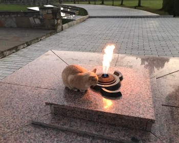 Достопримечательности Магаса
