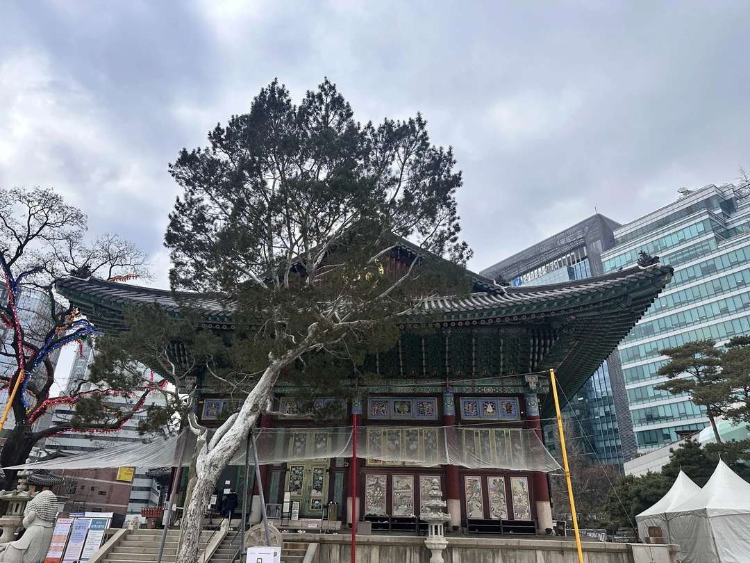 Спасибо огромное Александре за великолепную экскурсию. Маршрут продуман на 100%. Посмотрели основные достопримечательности с учетом даже