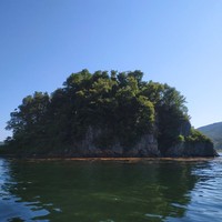 Фото отзыва 1: экскурсия "На моторной лодке — вдоль побережья острова Русский"