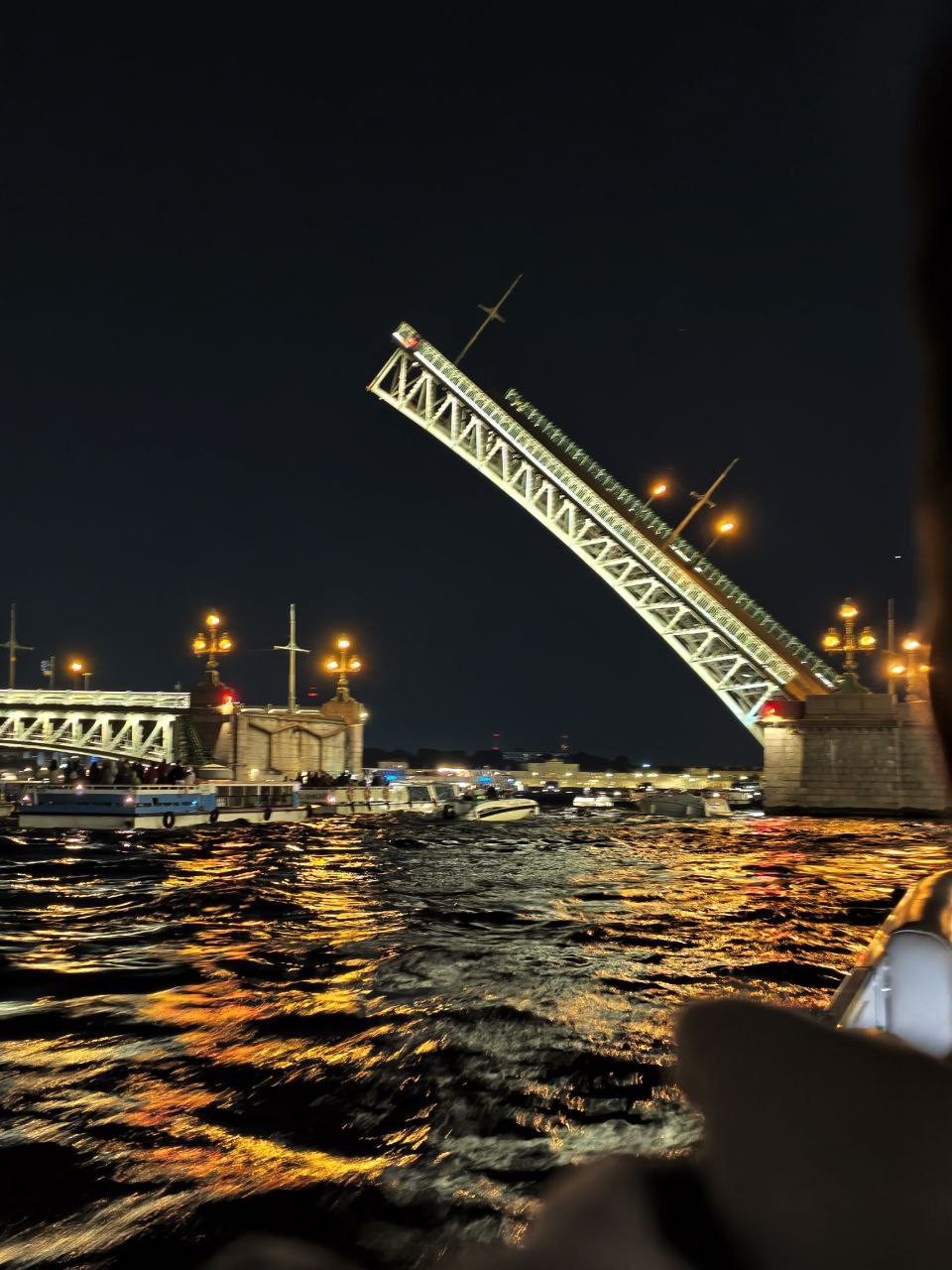 Прогулка на катере на развод мостов (Толмачева)
