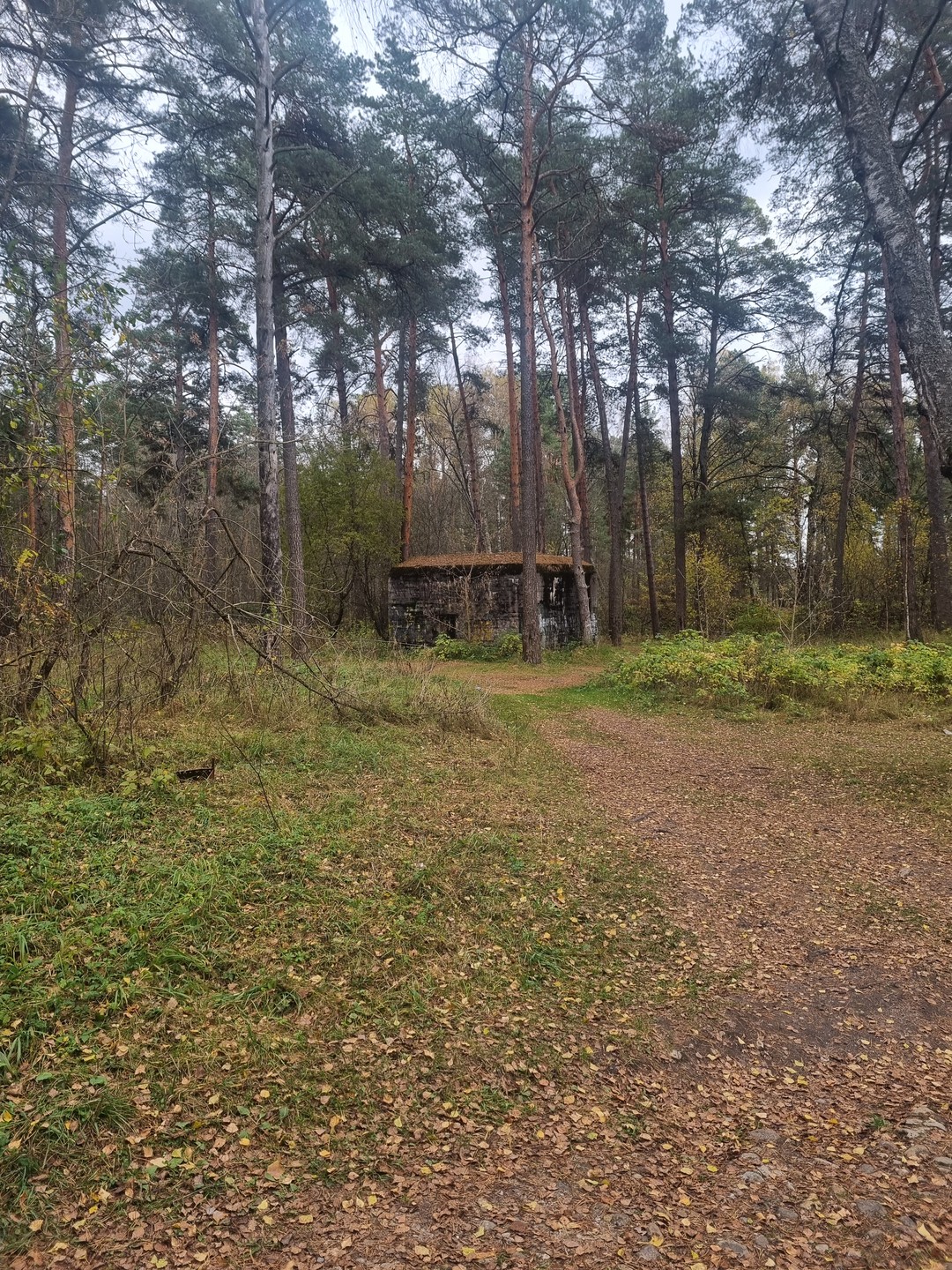 Тайны немецкого бункера Barenhalle (Мария)
