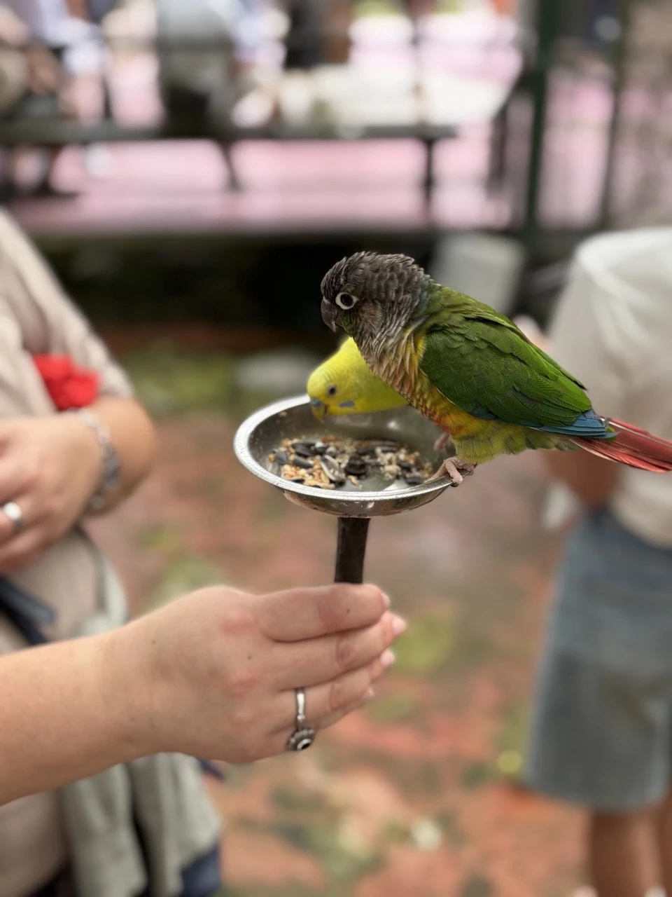 Прекрасная экскурсия. Договорились выехать чуть раньше, в результате приехали рано и народу было мало. Спокойно гуляли