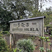 Фото отзыва 1: экскурсия "Город Элла и сафари на джипах в парке Яла — из Галле"