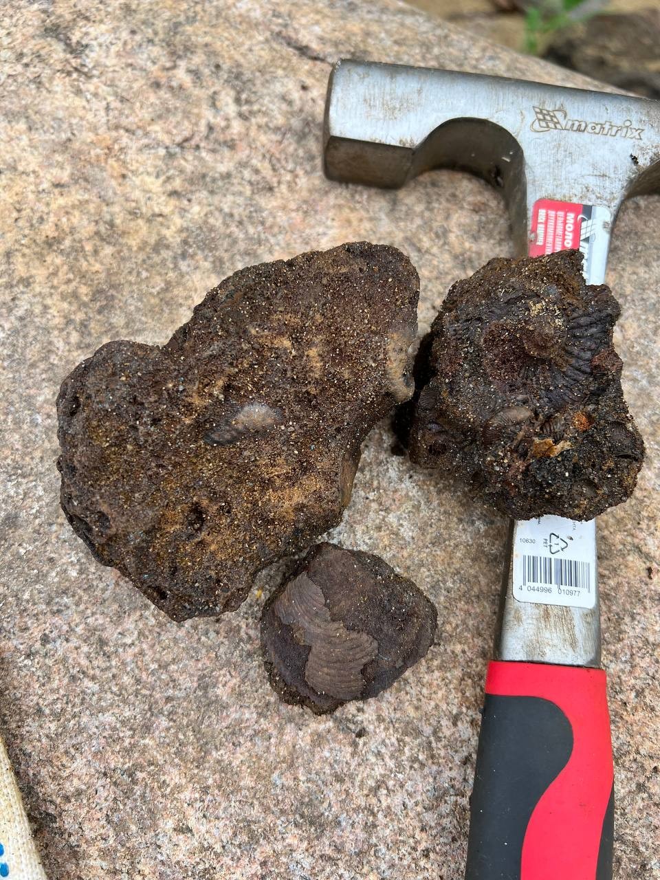 Спасибо большое Владимиру за такую чудесную экскурсию. Я впервые ехала на раскопки и осталась в полном