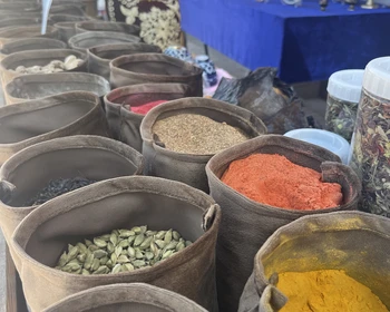 Прибытие в Хиву и поездка в пустыню Кызылкум