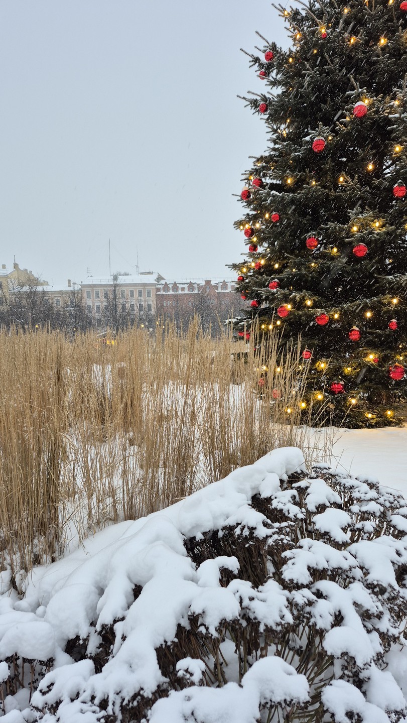 Эта экскурсия подойдёт для любителей пеших прогулок и архитектуры. Мы поняли, что жизнь нк заканчивается на