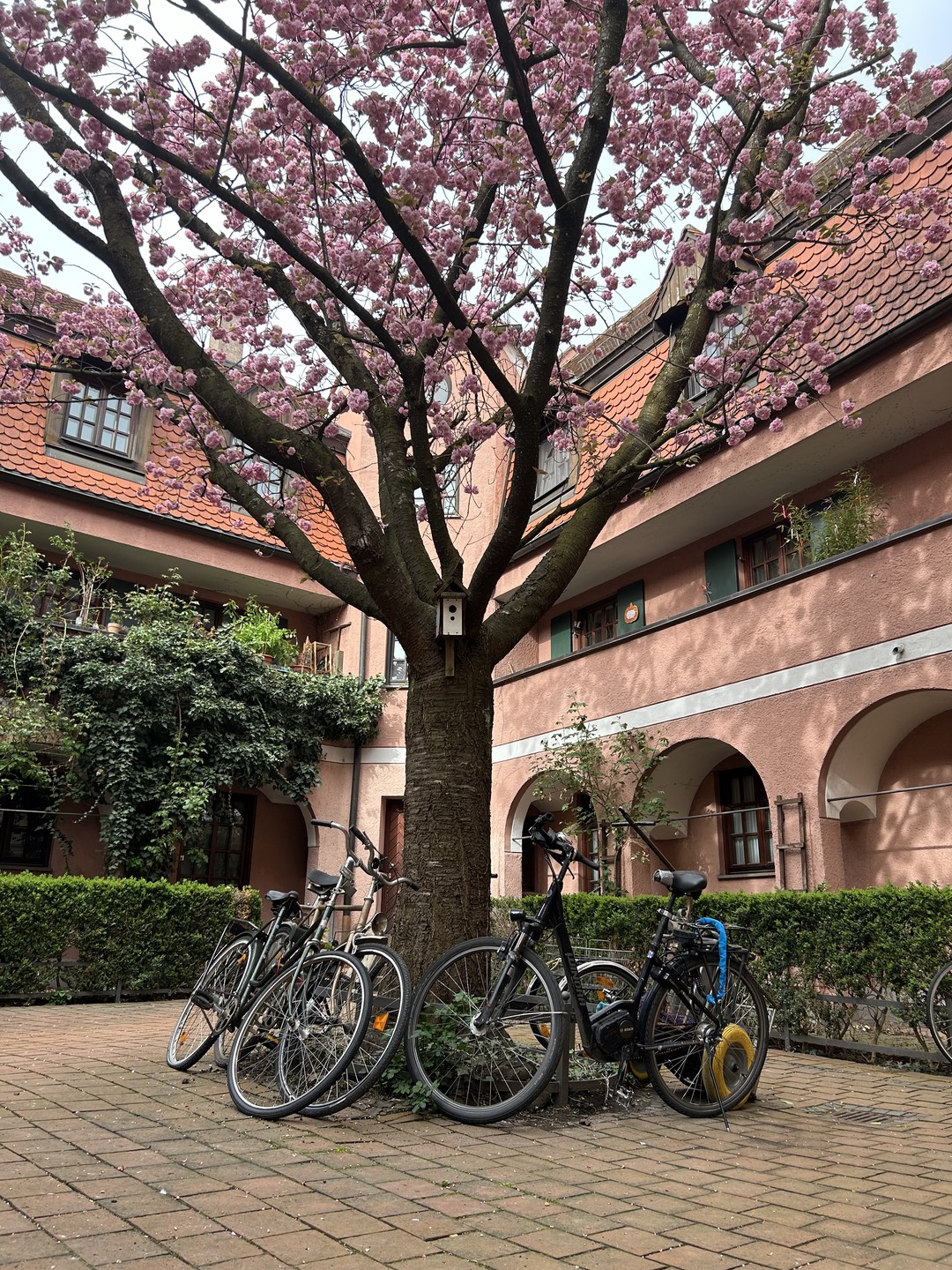 Прогулка по древнему Аугсбургу