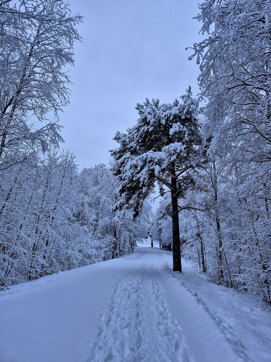 Замечательная экскурсия с отличным гидом. Мои только положительные комментарии и отзывы Сергею. Интересный рассказчик, абсолютный учет