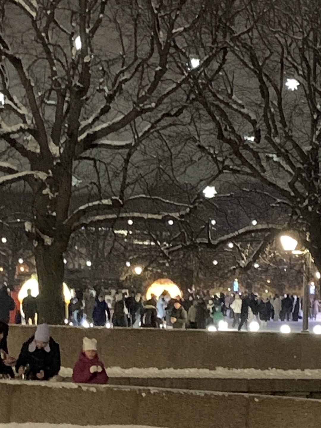 Новогоднее волшебство Петербурга (Ефремова)