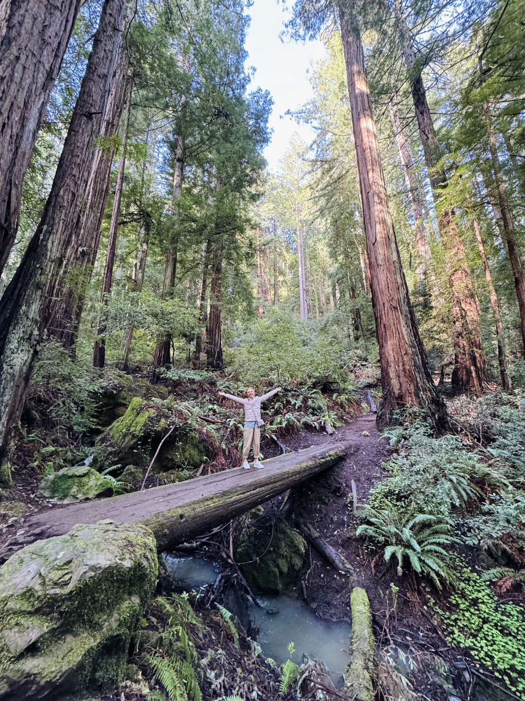 Все было прекрасно)) Лес удивительный, на винодельнях тоже очень понравилось, самое главное, много полезной и интересной