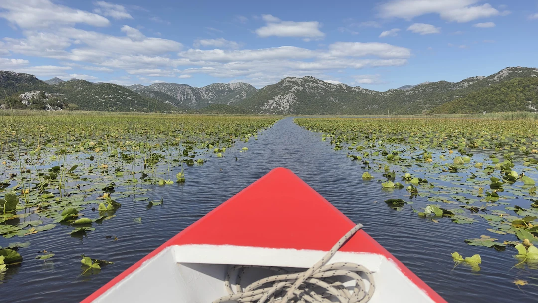 Отличная экскурсия, мы были в таком восторге что поехали с Иваном ещё и на следующий день