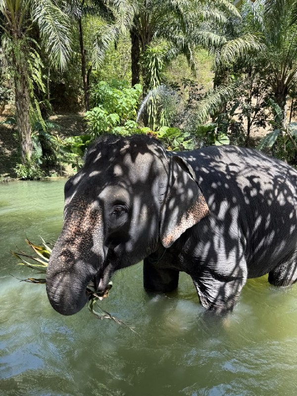 Спасибо большое Дмитрию за отличную экскурсию! Понравилось все! Если по порядку, то машина удобная, маршрут не