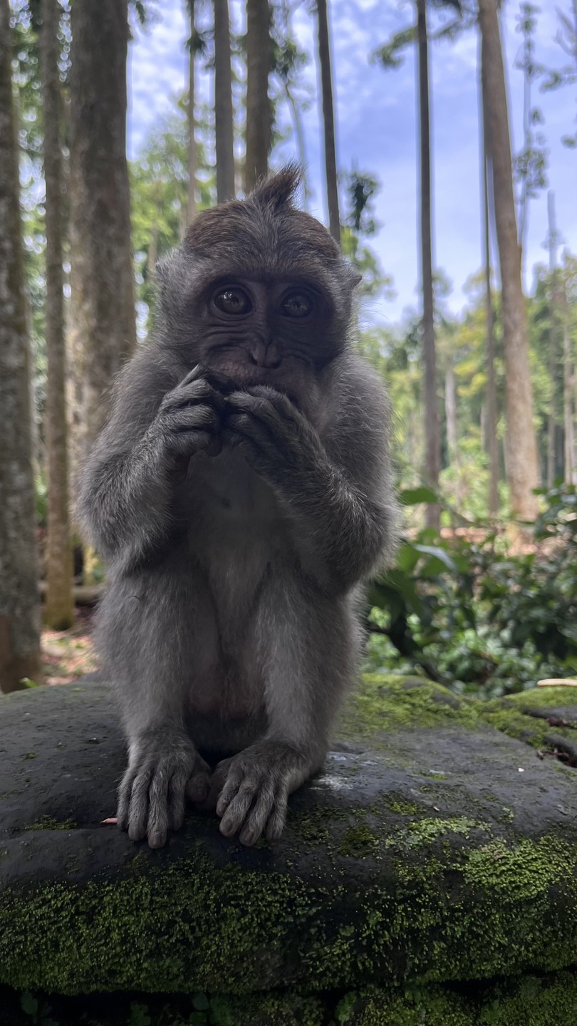 Экскурсия была потрясающей! Ваян чудесный рассказчик и веселый человек! Отлично говорит по-русски. Экскурсия не оставила нас