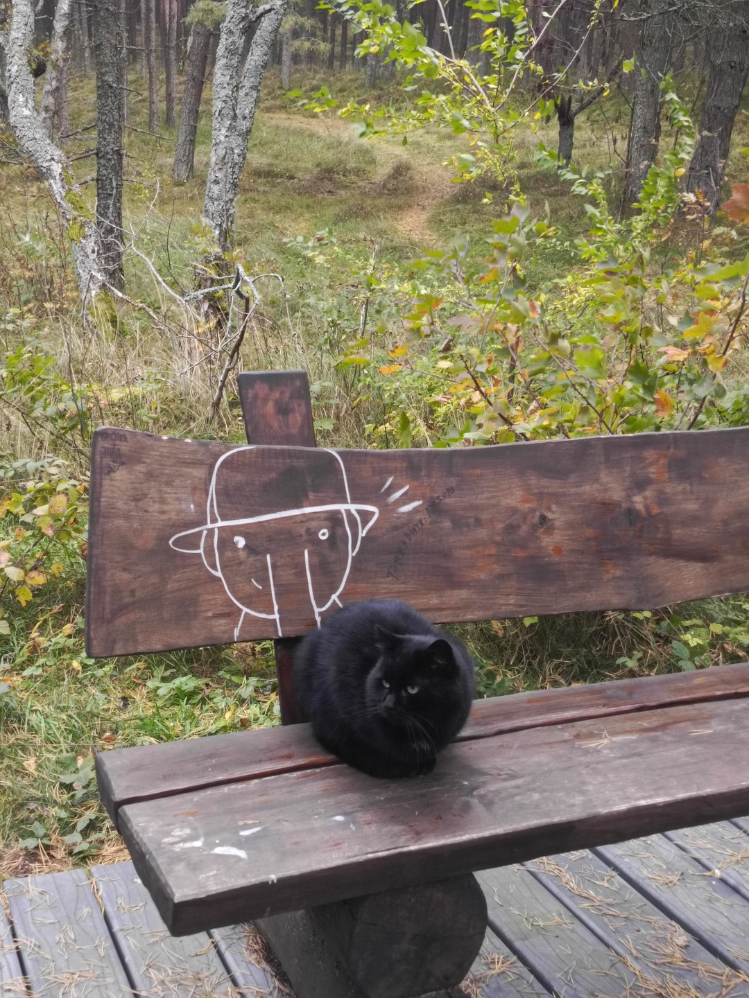 Комфортная поездка на Куршскую косу (Елизавета)