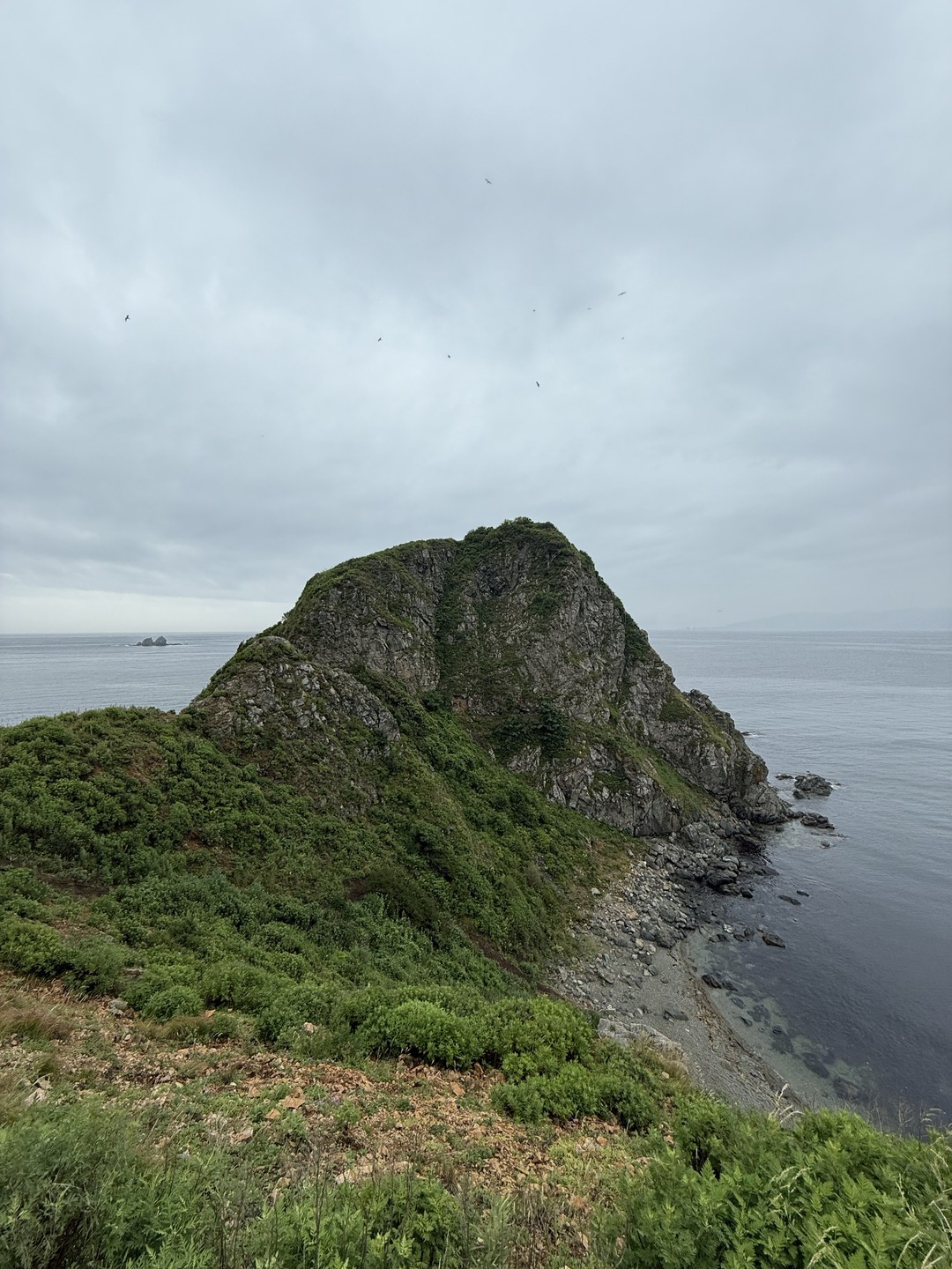Очень понравилась экскурсия, прекрасные виды и дикие морские обитатели)) экскурсоводы и капитан просто топ 🔝🤗