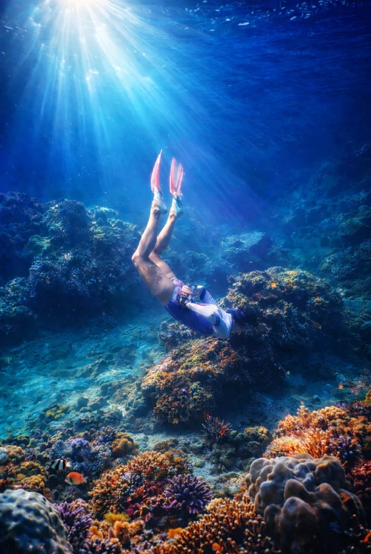 Снорклинг в морском заповеднике острова Мун (из Нячанга)