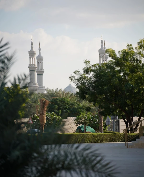 Виды Шарджа и Аджман: однодневное путешествие из Дубая