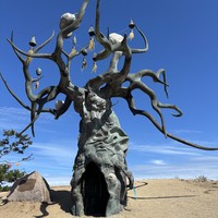 Фото путешественника — 3
