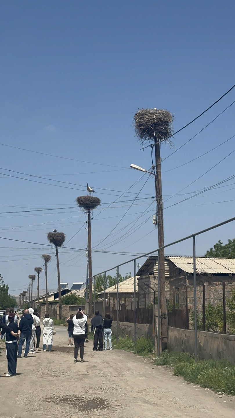 Арарат, Арени и Нораванк - дороги, пропитанные солнцем (Елена)
