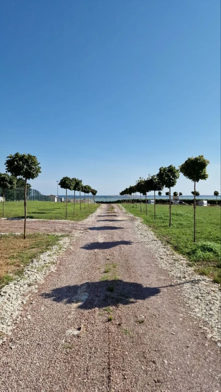 Однодневное путешествие по винодельням, фермам и красивым местам Тамани