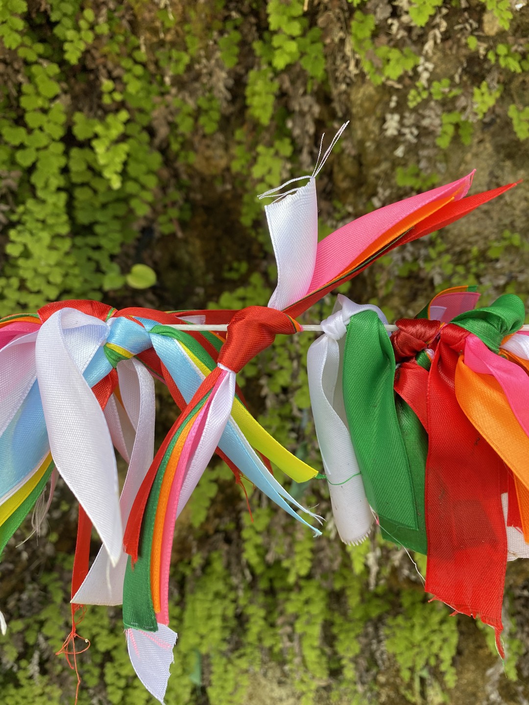 Курортная Гагра и озеро Рица (Татьяна)